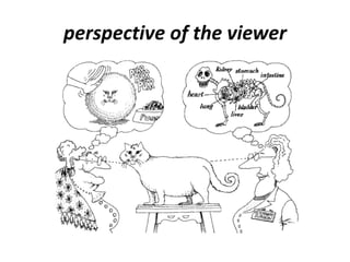 perspective of the viewer
 