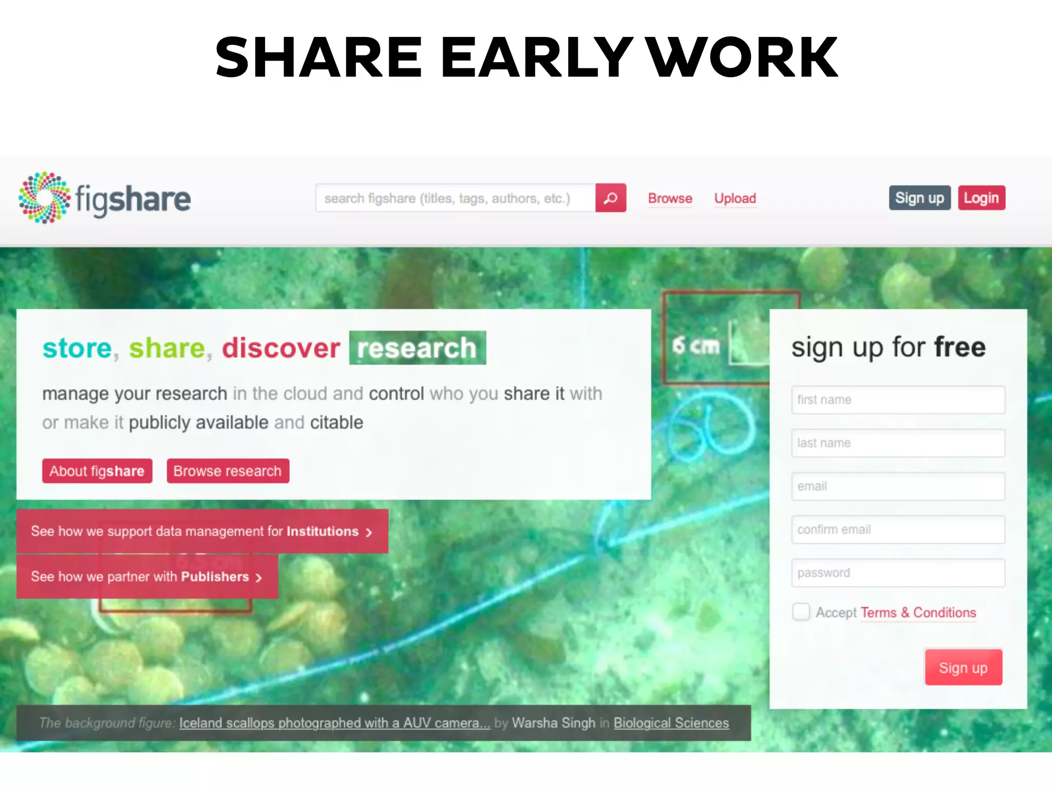 SHARE EARLY WORK
 