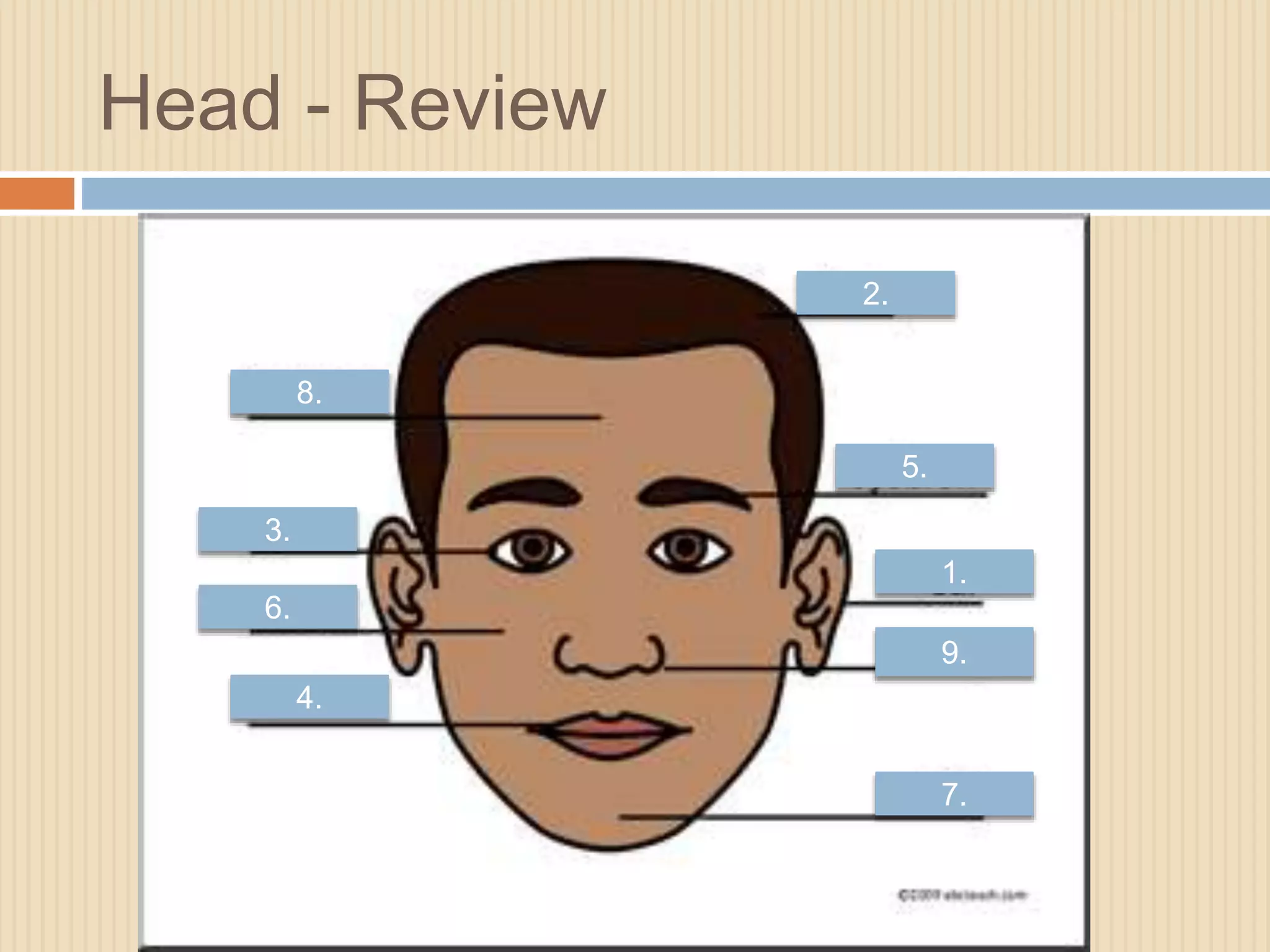 Head - Review 
8. 
3. 
6. 
4. 
2. 
5. 
1. 
9. 
7. 
 