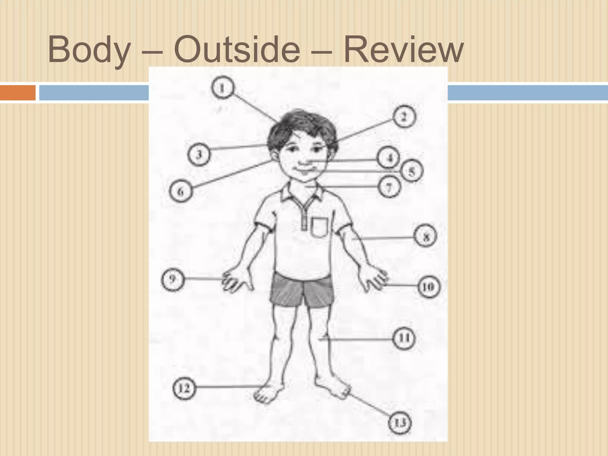 Body – Outside – Review 
 