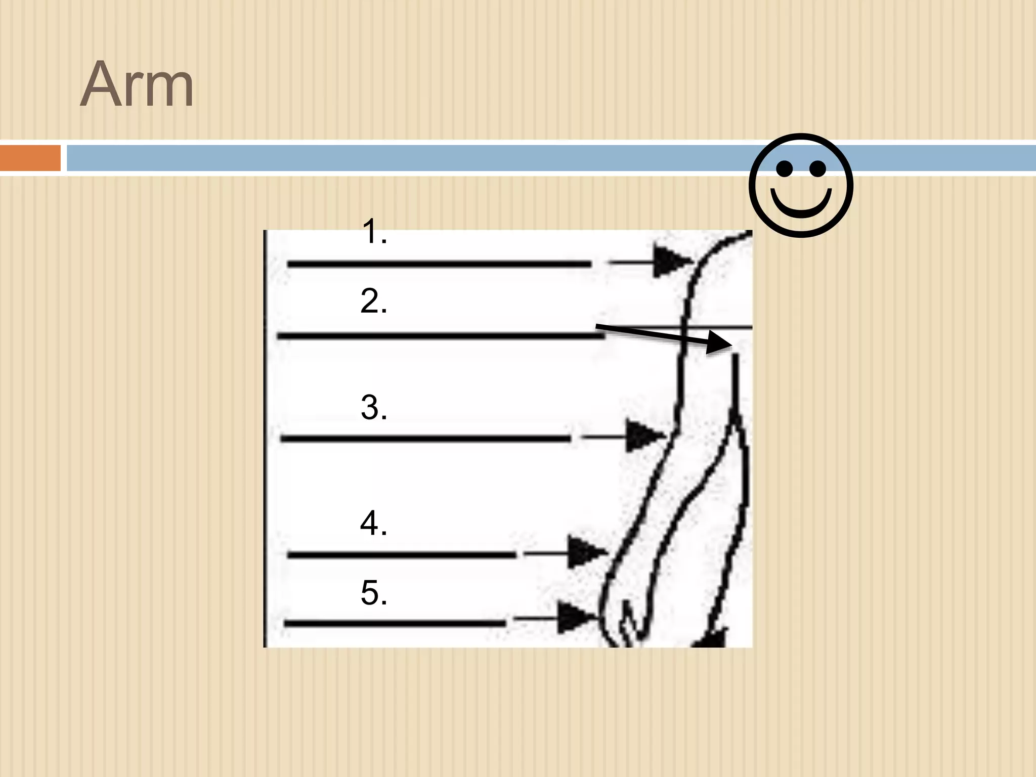 Arm 
1. 
2. 
3. 
4. 
5. 
 
 