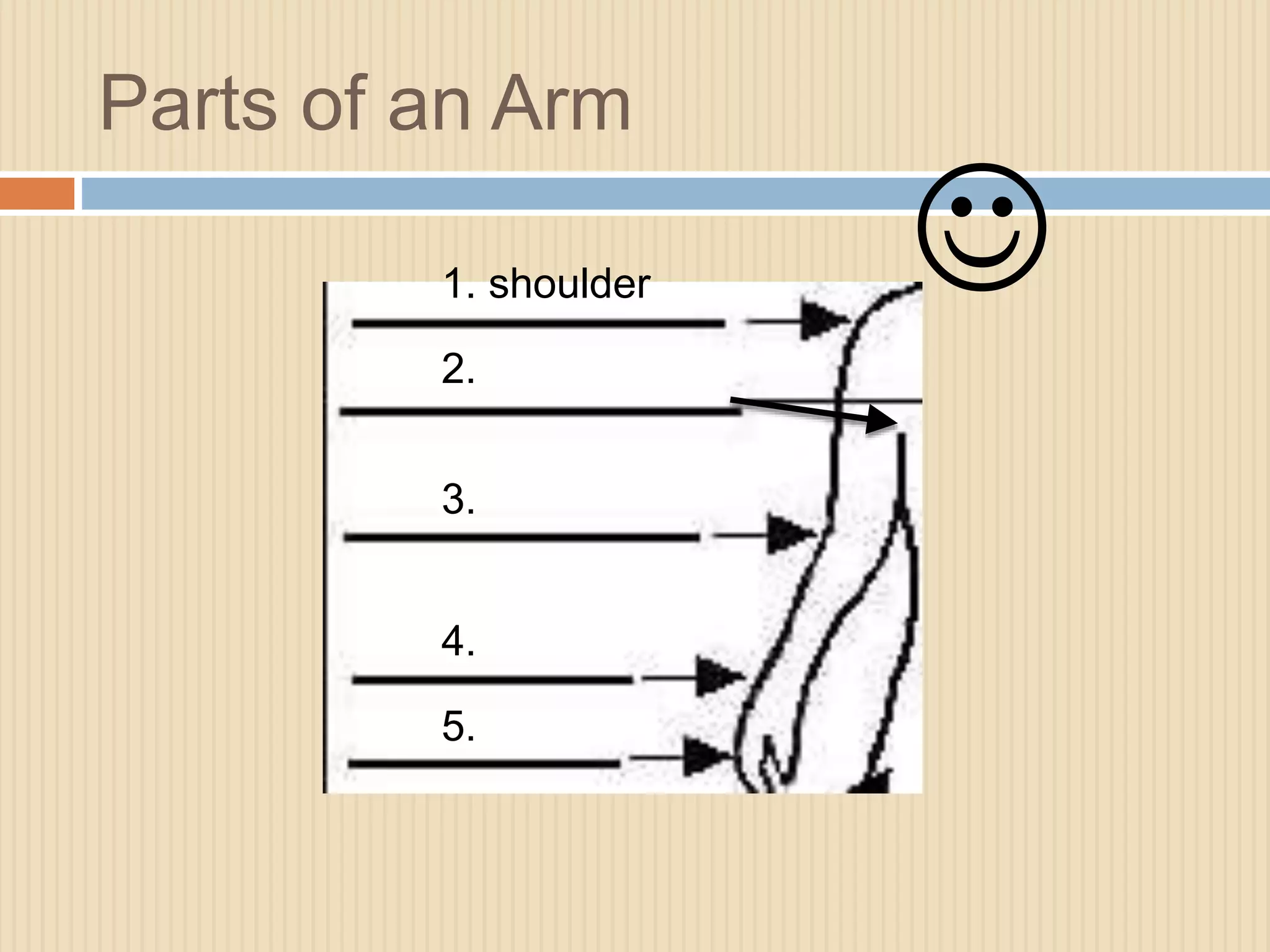 Parts of an Arm 
1. shoulder 
2. 
3. 
4. 
5. 
 
 