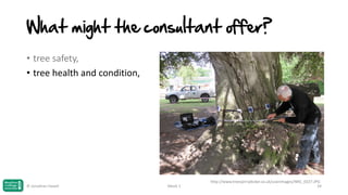 What might the consultant offer?
• tree safety,
• tree health and condition,

© Jonathan Hazell

Week 1

http://www.treesjerrydicker.co.uk/userimages/IMG_0327.JPG
34

 