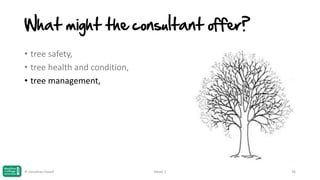 What might the consultant offer?
• tree safety,
• tree health and condition,
• tree management,

© Jonathan Hazell

Week 1

36

 