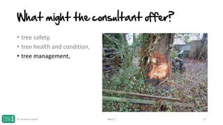 What might the consultant offer?
• tree safety,
• tree health and condition,
• tree management,

© Jonathan Hazell

Week 1

37

 