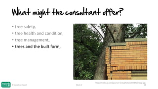 What might the consultant offer?
• tree safety,
• tree health and condition,
• tree management,
• trees and the built form,

© Jonathan Hazell

Week 1

http://media.nj.com/jjournal-news/photo/13578462-large.jpg
38

 