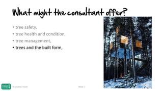 What might the consultant offer?
• tree safety,
• tree health and condition,
• tree management,
• trees and the built form,

© Jonathan Hazell

Week 1

39

 