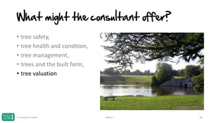 What might the consultant offer?
• tree safety,
• tree health and condition,
• tree management,
• trees and the built form,
• tree valuation

© Jonathan Hazell

Week 1

40

 