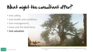 What might the consultant offer?
• tree safety,
• tree health and condition,
• tree management,
• trees and the built form,
• tree valuation

© Jonathan Hazell

http://news.bbcimg.co.uk/media/images/71673000/jpg/_71673771_dukeofwellingtontree.jpg
Week 1
41

 