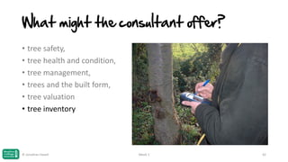 What might the consultant offer?
• tree safety,
• tree health and condition,
• tree management,
• trees and the built form,
• tree valuation
• tree inventory

© Jonathan Hazell

Week 1

42

 