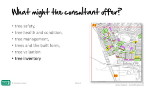 What might the consultant offer?
• tree safety,
• tree health and condition,
• tree management,
• trees and the built form,
• tree valuation
• tree inventory

© Jonathan Hazell

Week 1

43
James England – james@England.ac

 