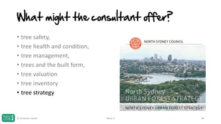 What might the consultant offer?
• tree safety,
• tree health and condition,
• tree management,
• trees and the built form,
• tree valuation
• tree inventory
• tree strategy

© Jonathan Hazell

Week 1

44

 
