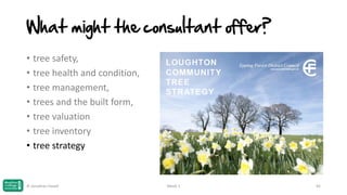What might the consultant offer?
• tree safety,
• tree health and condition,
• tree management,
• trees and the built form,
• tree valuation
• tree inventory
• tree strategy

© Jonathan Hazell

Week 1

45

 