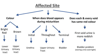 Haematuria | PPTX