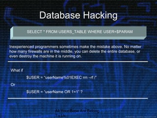 All Your Base Are Belong
To Us
Database Hacking
SELECT * FROM USERS_TABLE WHERE USER=$PARAM
Inexperienced programmers some...