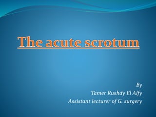 By
Tamer Rushdy El Alfy
Assistant lecturer of G. surgery
 