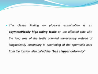 The acute scrotum | PPTX