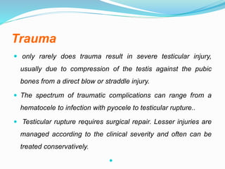 Testicle Injuries The acute scrotum | PPTX