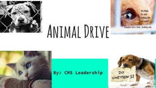 AnimalDrive
By: CMS Leadership
 