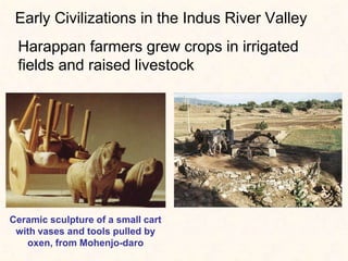 Early Civilizations in the Indus River Valley
Harappan farmers grew crops in irrigated
fields and raised livestock
Ceramic sculpture of a small cart
with vases and tools pulled by
oxen, from Mohenjo-daro
 