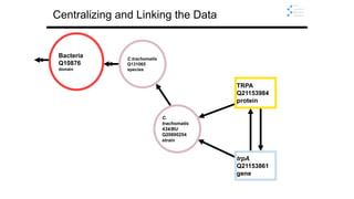 Centralizing and Linking the Data
Bacteria
Q10876
domain
TRPA
Q21153984
protein
C.trachomatis
Q131065
species
trpA
Q21153861
gene
C.
trachomatis
434/BU
Q20800254
strain
 