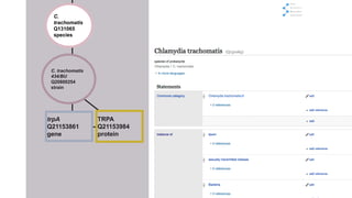 trpA
Q21153861
gene
TRPA
Q21153984
protein
C. trachomatis
434/BU
Q20800254
strain
C.
trachomatis
Q131065
species
 