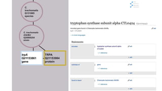 C.
trachomatis
Q131065
species
TRPA
Q21153984
protein
C. trachomatis
434/BU
Q20800254
strain
trpA
Q21153861
gene
 