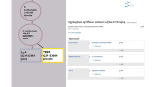 C.
trachomatis
Q131065
species
trpA
Q21153861
gene
C. trachomatis
434/BU
Q20800254
strain
TRPA
Q21153984
protein
 