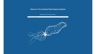 Gene Wiki and Wikimedia Foundation SPARQL workshop