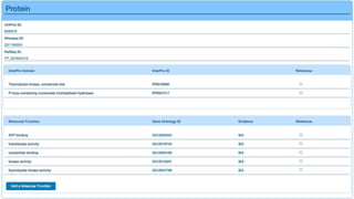 Gene Wiki and Wikimedia Foundation SPARQL workshop