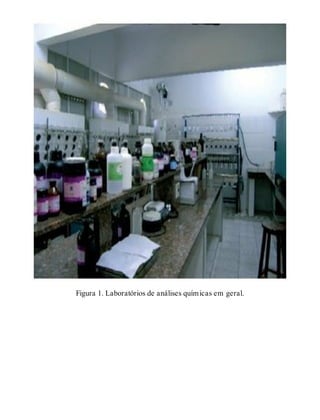 Figura 1. Laboratórios de análises químicas em geral.
 