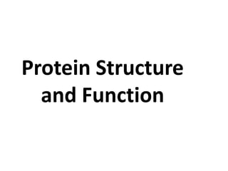 Protein Structure
and Function
 