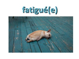 fatigué(e)fatigué(e)
 