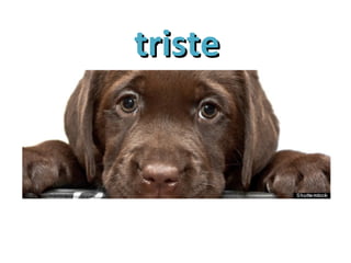 tristetriste
 