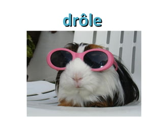 drôledrôle
 