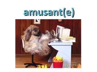 amusant(e)amusant(e)
 