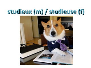 studieux (m) / studieuse (f)studieux (m) / studieuse (f)
 