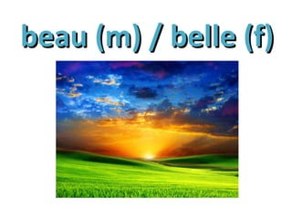 beau (m) / belle (f)beau (m) / belle (f)
 