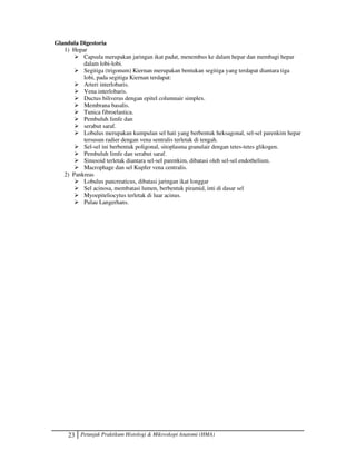 23 Petunjuk Praktikum Histologi  Mikroskopi Anatomi (HMA)
Glandula Digestoria
1) Hepar
 Capsula merupakan jaringan ikat padat, menembus ke dalam hepar dan membagi hepar
dalam lobi-lobi.
 Segitiga (trigonum) Kiernan merupakan bentukan segitiga yang terdapat diantara tiga
lobi, pada segitiga Kiernan terdapat:
 Arteri interlobaris.
 Vena interlobaris.
 Ductus biliverus dengan epitel columnair simplex.
 Membrana basalis.
 Tunica fibroelastica.
 Pembuluh limfe dan
 serabut saraf.
 Lobulus merupakan kumpulan sel hati yang berbentuk heksagonal, sel-sel parenkim hepar
tersusun radier dengan vena sentralis terletak di tengah.
 Sel-sel ini berbentuk poligonal, sitoplasma granulair dengan tetes-tetes glikogen.
 Pembuluh limfe dan serabut saraf.
 Sinusoid terletak diantara sel-sel parenkim, dibatasi oleh sel-sel endothelium.
 Macrophage dan sel Kupfer vena centralis.
2) Pankreas
 Lobulus pancreaticus, dibatasi jaringan ikat longgar
 Sel acinosa, membatasi lumen, berbentuk piramid, inti di dasar sel
 Myoepiteliocytus terletak di luar acinus.
 Pulau Langerhans.
 
