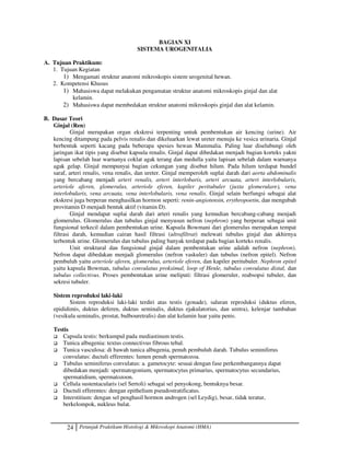 24 Petunjuk Praktikum Histologi  Mikroskopi Anatomi (HMA)
BAGIAN XI
SISTEMA UROGENITALIA
A. Tujuan Praktikum:
1. Tujuan Kegiatan
1) Mengamati struktur anatomi mikroskopis sistem urogenital hewan.
2. Kompetensi Khusus
1) Mahasiswa dapat melakukan pengamatan struktur anatomi mikroskopis ginjal dan alat
kelamin.
2) Mahasiswa dapat membedakan struktur anatomi mikroskopis ginjal dan alat kelamin.
B. Dasar Teori
Ginjal (Ren)
Ginjal merupakan organ ekskresi terpenting untuk pembentukan air kencing (urine). Air
kencing ditampung pada pelvis renalis dan dikeluarkan lewat ureter menuju ke vesica urinaria. Ginjal
berbentuk seperti kacang pada beberapa spesies hewan Mammalia. Paling luar diselubungi oleh
jaringan ikat tipis yang disebut kapsula renalis. Ginjal dapat dibedakan menjadi bagian korteks yakni
lapisan sebelah luar warnanya coklat agak terang dan medulla yaitu lapisan sebelah dalam warnanya
agak gelap. Ginjal mempunyai bagian cekungan yang disebut hilum. Pada hilum terdapat bundel
saraf, arteri renalis, vena renalis, dan ureter. Ginjal memperoleh suplai darah dari aorta abdominalis
yang bercabang menjadi arteri renalis, arteri interlobaris, arteri arcuata, arteri interlobularis,
arteriole aferen, glomerulus, arteriole eferen, kapiler peritubuler (juxta glomerulare), vena
interlobularis, vena arcuata, vena interlobularis, vena renalis. Ginjal selain berfungsi sebagai alat
ekskresi juga berperan menghasilkan hormon seperti: renin-angiotensin, erythropoetin, dan mengubah
provitamin D menjadi bentuk aktif (vitamin D).
Ginjal mendapat suplai darah dari arteri renalis yang kemudian bercabang-cabang menjadi
glomerulus. Glomerulus dan tubulus ginjal menyusun nefron (nephron) yang berperan sebagai unit
fungsional terkecil dalam pembentukan urine. Kapsula Bowmani dari glomerulus merupakan tempat
filtrasi darah, kemudian cairan hasil filtrasi (ultrafiltrat) melewati tubulus ginjal dan akhirnya
terbentuk urine. Glomerulus dan tubulus paling banyak terdapat pada bagian korteks renalis.
Unit struktural dan fungsional ginjal dalam pembentukan urine adalah nefron (nephron).
Nefron dapat dibedakan menjadi glomerulus (nefron vaskuler) dan tubulus (nefron epitel). Nefron
pembuluh yaitu arteriole aferen, glomerulus, arteriole eferen, dan kapiler peritubuler. Nephron epitel
yaitu kapsula Bowman, tubulus convulatus proksimal, loop of Henle, tubulus convulatus distal, dan
tubulus collectivus. Proses pembentukan urine meliputi: filtrasi glomeruler, reabsopsi tubuler, dan
sekresi tubuler.
Sistem reproduksi laki-laki
Sistem reproduksi laki-laki terdiri atas testis (gonade), saluran reproduksi (duktus eferen,
epididimis, duktus deferen, duktus seminalis, duktus ejakulatorius, dan uretra), kelenjar tambahan
(vesikula seminalis, prostat, bulbouretralis) dan alat kelamin luar yaitu penis.
Testis
 Capsula testis: berkumpul pada mediastinum testis.
 Tunica albugenia: textus connectivus fibrous tebal.
 Tunica vasculosa: di bawah tunica albugenia, penuh pembuluh darah. Tubulus seminiferus
convulatus: ductuli efferentes: lumen penuh spermatozoa.
 Tubulus seminiferus convulatus: a. gametocyte: sesuai dengan fase perkembangannya dapat
dibedakan menjadi: spermatogonium, spermatocytus primarius, spermatocytus secundarius,
spermatidium, spermatozoon.
 Cellula sustentacularis (sel Sertoli) sebagai sel penyokong, bentuknya besar.
 Ductuli efferentes: dengan epithelium pseudostratificatus.
 Interstitium: dengan sel penghasil hormon androgen (sel Leydig), besar, tidak teratur,
berkelompok, nukleus bulat.
 