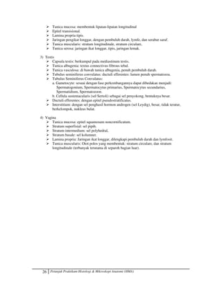 26 Petunjuk Praktikum Histologi  Mikroskopi Anatomi (HMA)
 Tunica mucosa: membentuk lipatan-lipatan longitudinal
 Epitel transisional.
 Lamina propria tipis.
 Jaringan pengikat longgar, dengan pembuluh darah, lymfe, dan serabut saraf.
 Tunica muscularis: stratum longitudinale, stratum circulare,
 Tunica serosa: jaringan ikat longgar, tipis, jaringan lemak.
3) Testis
 Capsula testis: berkumpul pada mediastinum testis.
 Tunica albugenia: textus connectivus fibrous tebal.
 Tunica vasculosa: di bawah tunica albugenia, penuh pembuluh darah.
 Tubulus seminiferus convulatus: ductuli efferentes: lumen penuh spermatozoa.
 Tubulus Seminiferus Convulatus:
a. Gametocyte: sesuai dengan fase perkembangannya dapat dibedakan menjadi:
Spermatogonium, Spermatocytus primarius, Spermatocytus secundarius,
Spermatidium, Spermatozoon.
b. Cellula sustentacularis (sel Sertoli) sebagai sel penyokong, bentuknya besar.
 Ductuli efferentes: dengan epitel pseudostratificatus.
 Interstitium: dengan sel penghasil hormon androgen (sel Leydig), besar, tidak teratur,
berkelompok, nukleus bulat.
4) Vagina
 Tunica mucosa: epitel squamosum noncornificatum.
 Stratum superfisial: sel pipih.
 Stratum intermedium: sel polyhedral,
 Stratum basale: sel kolumner.
 Lamina propria: Jaringan ikat longgar, dilengkapi pembuluh darah dan lymfosit.
 Tunica muscularis: Otot polos yang membentuk: stratum circulare, dan stratum
longitudinale (terbanyak terutama di separoh bagian luar).
 