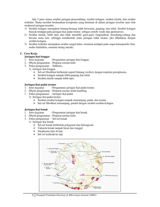 5 Petunjuk Praktikum Histologi  Mikroskopi Anatomi (HMA)
Ada 3 jenis utama serabut jaringan penyambung: serabut kolagen, serabut elastik, dan serabut
retikuler. Nama tersebut berdasarkan komponen yang dominan di dalam jaringan tersebut atau sifat
struktural jaringan tersebut.
1) Serabut kolagen merupakan benang-benang tidak berwarna, panjang, dan tebal. Serabut kolagen
banyak terdapat pada jaringan ikat padat teratur, sebagai contoh: tendo dan aponeurosis.
2) Serabut elastik, lebih tipis dan tidak memiliki garis-garis longitudinal, bercabang-cabang dan
bersatu sama lain, sehingga membentuk suatu jaringan tidak teratur, jika dibedakan dengan
serabut kolagen.
3) Serabut retikuler merupakan serabut sangat halus, terutama terdapat pada organ hemopoetik (lien,
nodus limfatikus, sumsum tulang merah).
C. Cara Kerja
Jaringan ikat longgar
1. Jenis kegiatan : Pengamatan jaringan ikat longgar.
2. Obyek pengamatan : Preparat awetan kulit.
3. Fokus pengamatan : Subkutis.
1) Jaringan ikat longgar.
 Sel-sel fibroblast berbentuk seperti bintang (stellat), dengan tonjolan protoplasma.
 Serabut kolagen tampak lebih panjang dan tebal.
 Serabut elastik tampak lebih tipis.
Jaringan ikat padat teratur
1. Jenis kegiatan : Pengamatan jaringan ikat padat teratur.
2. Obyek pengamatan : Preparat awetan tendo kambing.
3. Fokus pengamatan : Jaringan ikat padat.
3) Jaringan ikat padat teratur.
 Serabut-serabut kolagen tampak memanjang, padat, dan teratur.
 Inti sel fibroblast memanjang, paralel dengan serabut-serabut kolagen.
Jaringan ikat lemak
1. Jenis kegiatan : Pengamatan jaringan ikat lemak.
2. Obyek pengamatan : Preparat awetan kulit.
3. Fokus pengamatan : Sel-sel lemak
1) Jaringan ikat lemak
 Sel-sel lemak berbentuk polygonal atau heksagonal
 Vakuola lemak tampak besar dan tunggal
 Sitoplasma tipis di tepi
 Inti sel terdesak ke tepi
 