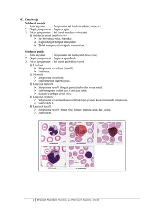 7 Petunjuk Praktikum Histologi  Mikroskopi Anatomi (HMA)
C. Cara Kerja
Sel darah merah
1. Jenis kegiatan : Pengamatan sel darah merah (erythrocyte).
2. Obyek pengamatan : Preparat apus
3. Fokus pengamatan : Sel darah merah (erythrocyte)
1) Sel darah merah (erythrocyte)
 Sel berbentuk bulat, bikonkaf.
 Bagian tengah tampak transparan.
 Tidak mempunyai inti (pada mammalia).
Sel darah putih
1. Jenis kegiatan : Pengamatan sel darah putih (leucocyte).
2. Obyek pengamatan : Preparat apus darah.
3. Fokus pengamatan : Sel darah putih (leucocyte).
1) Limfosit
 Sitoplasma tercat biru (basofil).
 Inti besar.
2) Monosit
 Sitoplasma tercat biru.
 Inti berbentuk seperti ginjal.
3) Leucosit neutrofil
 Sitoplasma basofil dengan granula halus dan tercat netral.
 Inti bersegmen terdiri atas 3 lobi atau lebih.
 Biasanya terdapat drum stick.
4) Leucosit eosinofil
 Sitoplasma tercat merah (eosinofil) dengan granula kasar memenuhi sitoplasma.
 Inti berlobi 2.
5) Leucosit basofil
 Sitoplasma basofil (tercat biru) dengan granula kasar, dan jarang.
 Inti berlobi.
 