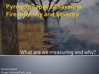 What are we measuring and why? 
Daniel Godwin 
Kruger National Park, 2014 
 