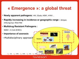 « Emergence »: a global threat Newly apparent pathogens:   HIV, Ebola, H5N1, H1N1… Rapidly increasing in incidence or geographic range :   dengue,   chikungunya, West Nile   Multidrug Resistant Pathogens :  NDM-1, E.Coli (EHEC)   Importance of zoonosis Multidisciplinary approach   Vectors Hosts Humans 