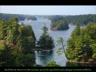 São 80 Km de ilhas no rio São Lourenço, que sai do Lago Ontário para desaguar no Oceano Atlântico.
 