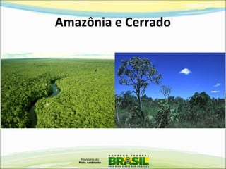 Amazônia e Cerrado
 