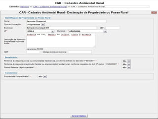 Cadastrar propriedade
 