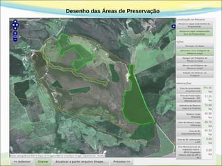 Desenho das Áreas de Preservação
 