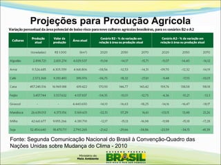Projeções para Produção Agrícola
Fonte: Segunda Comunicação Nacional do Brasil à Convenção-Quadro das
Nações Unidas sobre Mudança do Clima - 2010
 